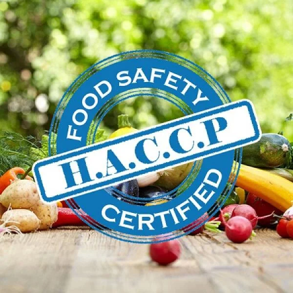 Tiêu chuẩn HACCP: Phân tích 7 Nguyên tắc, Lợi ích và Mối liên hệ với các tiêu chuẩn khác
