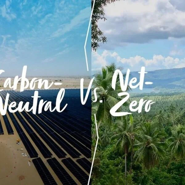 Net Zero là gì? Hành trình Giảm Phát thải và Hướng tới Tương lai Bền vững