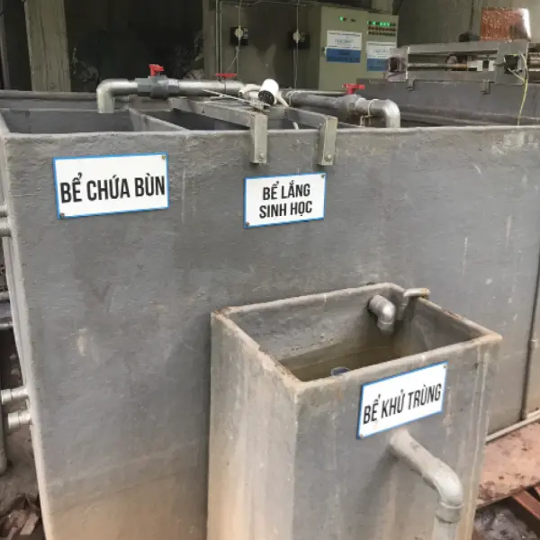 Xử lý nước thải nhà máy giấy: Đặc điểm, Quy trình, Các công nghệ hiện đại