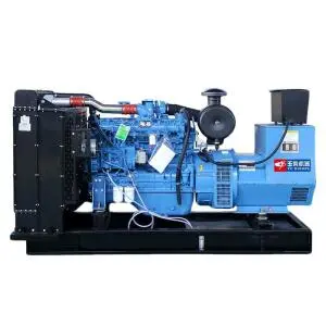 yuchai-300