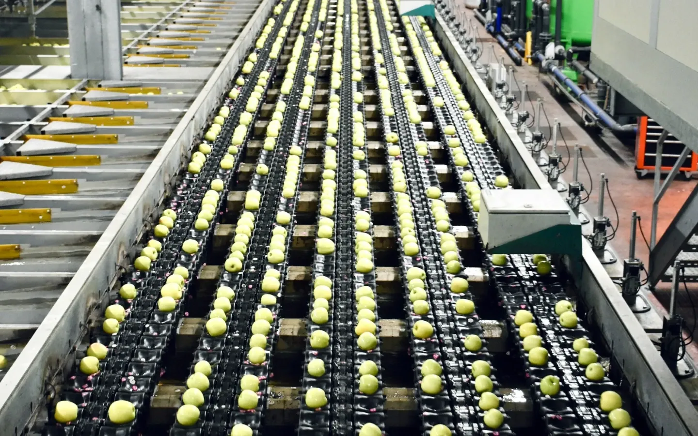 thi-cong-phong-sach-thuc-pham-la-gi