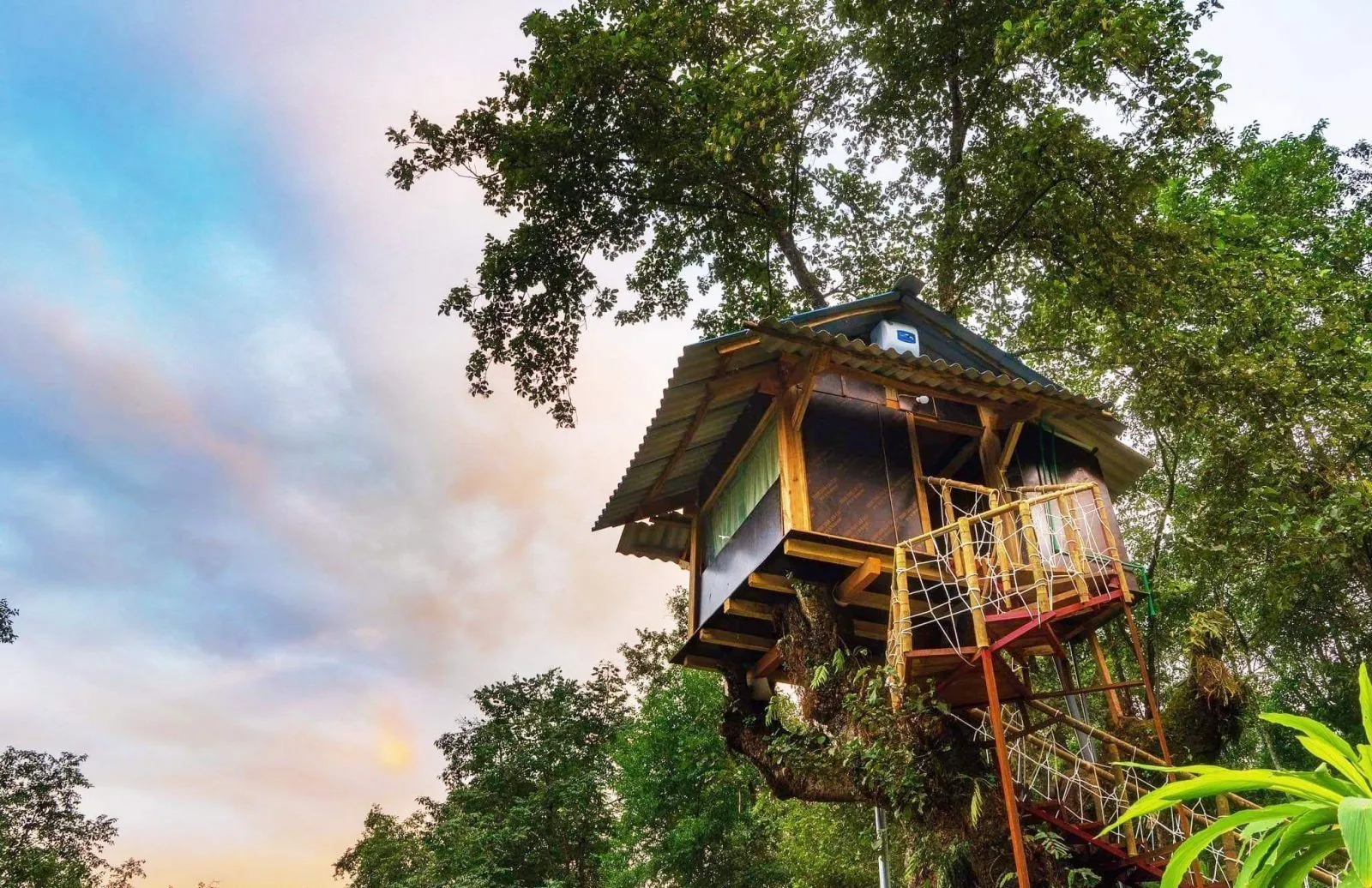 Mẫu nhà "tổ chim"