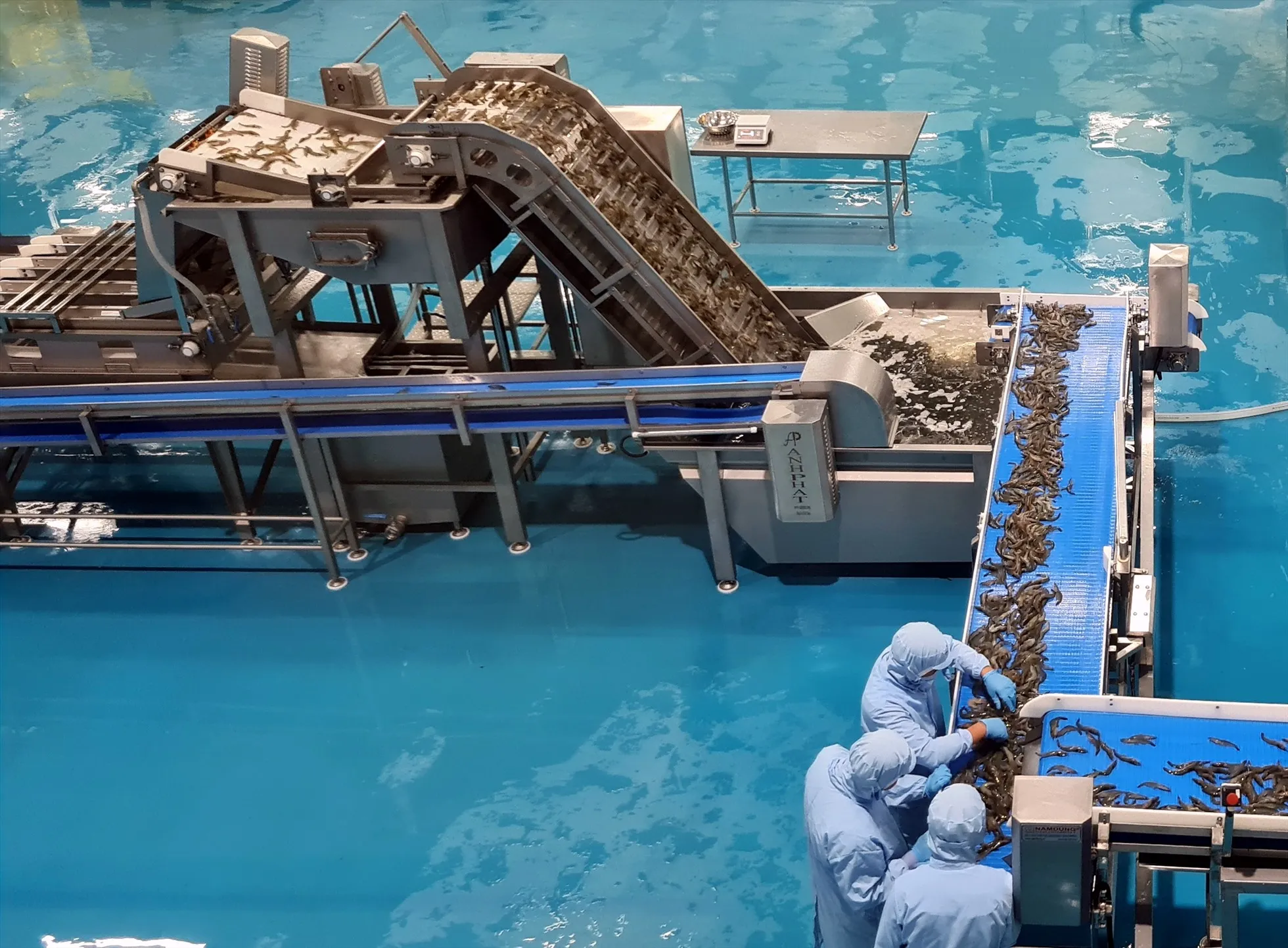 fdi-care-doi-tac-chien-luoc-cua-shenzhen-wenhe-don-vi-thi-cong-san-pu-so-1