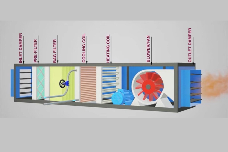 cấu tạo của Ahu