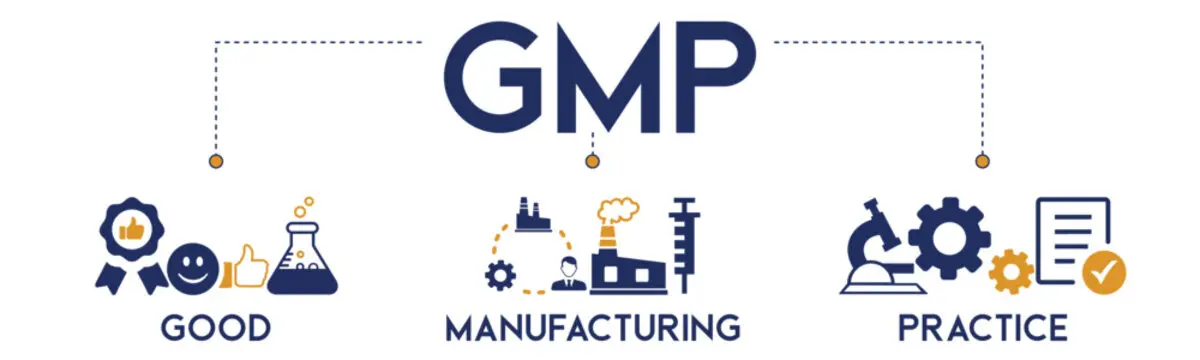 Có thể hình dung GMP giống như một "công thức nấu ăn" khổng lồ và cực kỳ chi tiết cho một nhà máy.