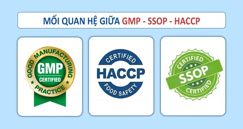 Nhấn mạnh yêu cầu bắt buộc về việc kiểm soát điều kiện bảo quản để đảm bảo chất lượng thuốc không bị suy giảm, một phần cốt lõi của GPP.