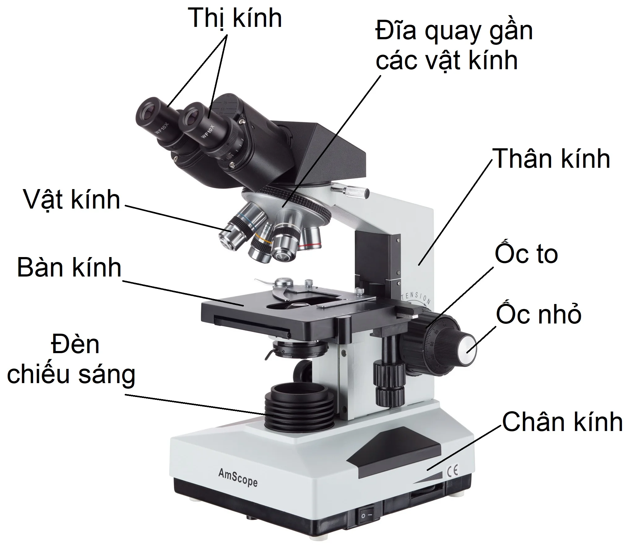 kinh-hien-vi-quang-hoc