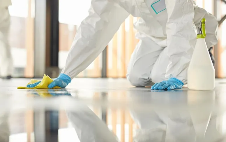 phan-loai-nen-chon-he-son-dan-dien-hay-phan-tan-dien-tich