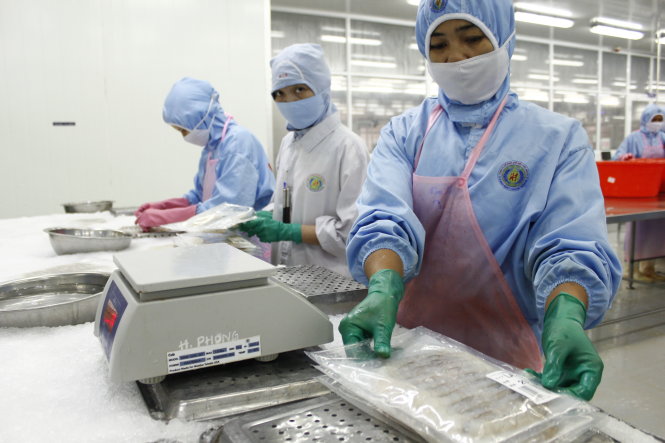 giai-phap-vat-lieu-trong-thi-cong-phong-sach-nha-may-thuy-san