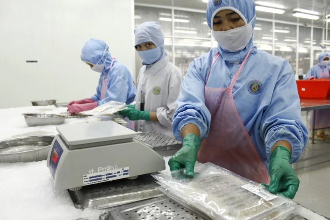 giai-phap-vat-lieu-chuyen-dung-cho-nha-may-thuy-san