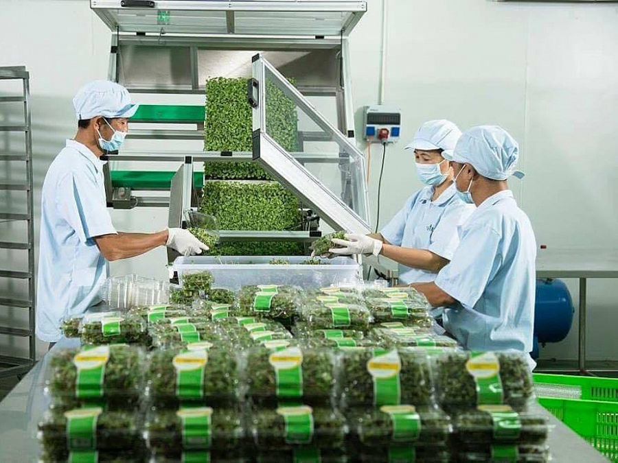 cach-lua-chon-vat-lieu-trong-thi-cong-phong-sach-nha-may-che-bien-rau-cu-qua