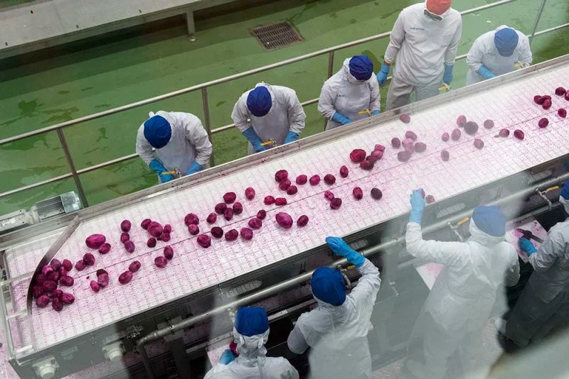 quy-trinh-thi-cong-phong-sach-6-buoc-chuyen-nghiep