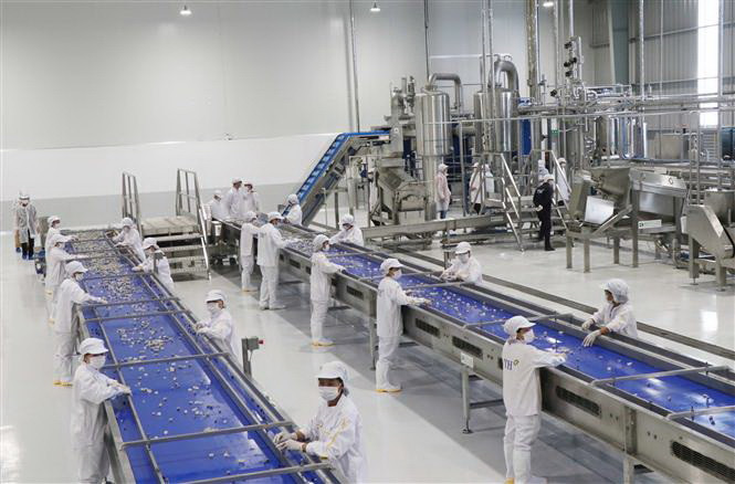 cac-tieu-chuan-vang-trong-thiet-ke-phong-sach-nong-san